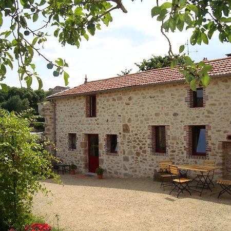 Bed and Breakfast Demeure Du Castel Les Châtelliers-Châteaumur Exterior foto